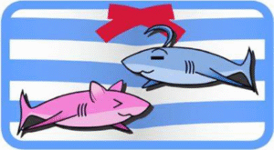 【安卓/IOS】GalGame 利器！吉里吉里  Kirikiroid 2 全版本下载！！！V1.3.9-玄夜の资源小站 - 获取千万好用软件游戏以及动漫推荐