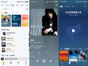 酷我音乐 Ver.11.3.6.0-解锁会员版-玄夜の资源小站 - 获取千万好用软件游戏以及动漫推荐