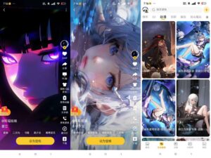 元气桌面壁纸v3.56.4355-解锁会员功能 - 玄夜の资源小站 - 获取千万好用软件游戏以及动漫推荐-玄夜の资源小站 - 获取千万好用软件游戏以及动漫推荐