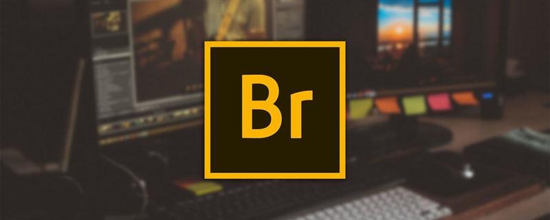 Adobe Bridge2026 16.0 直装版