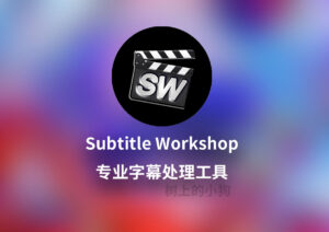 【PC/工具】专业字幕处理工具 Subtitle Workshop V6.3.4 中文汉化 / 免安装-玄夜の资源小站 - 获取千万好用软件游戏以及动漫推荐