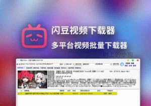 【PC/工具】多平台视频批量下载 闪豆视频下载器 更新 2026.02.11 去升级 | 优化版-玄夜の资源小站 - 获取千万好用软件游戏以及动漫推荐