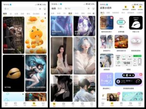 元气壁纸 v3.63.4386 解锁会员-玄夜の资源小站 - 获取千万好用软件游戏以及动漫推荐